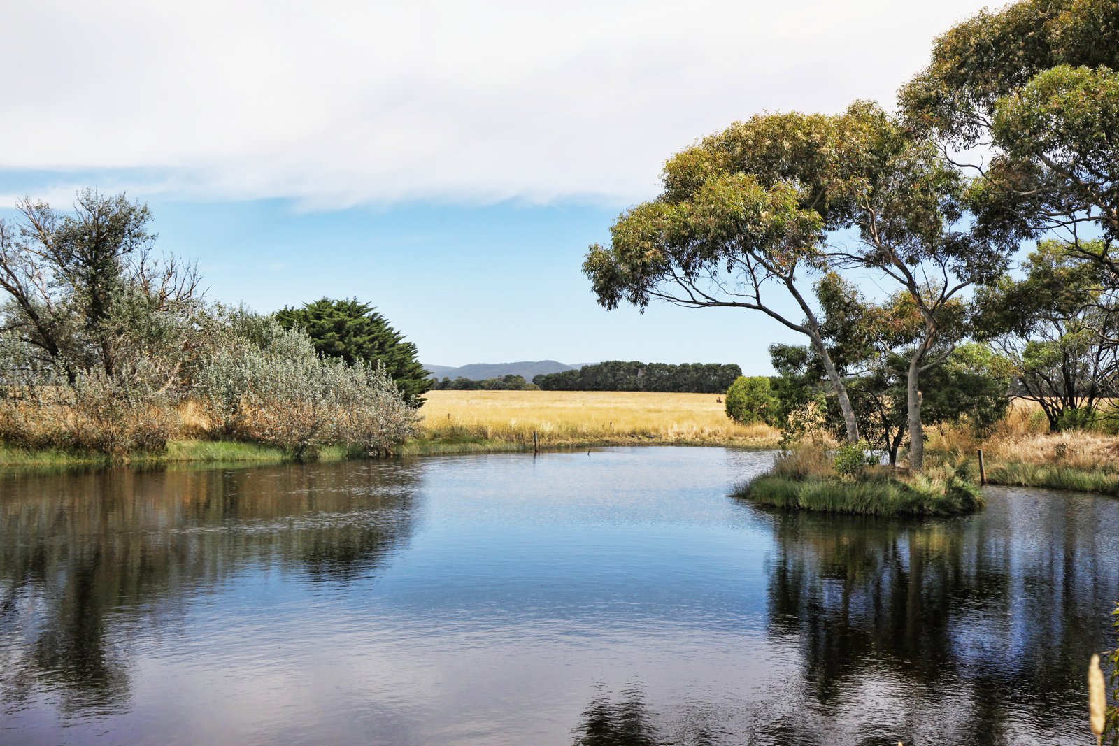 Property Gallery Thumbnail 11