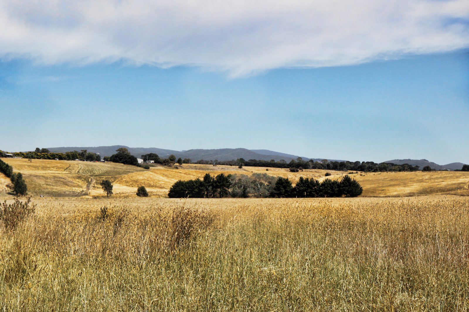 Property Gallery Thumbnail 14