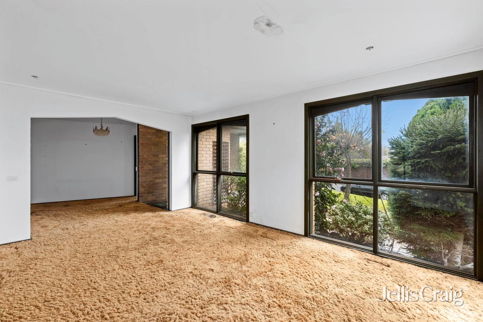 16 Ajax Drive, Wheelers&nbsp;Hill image 5
