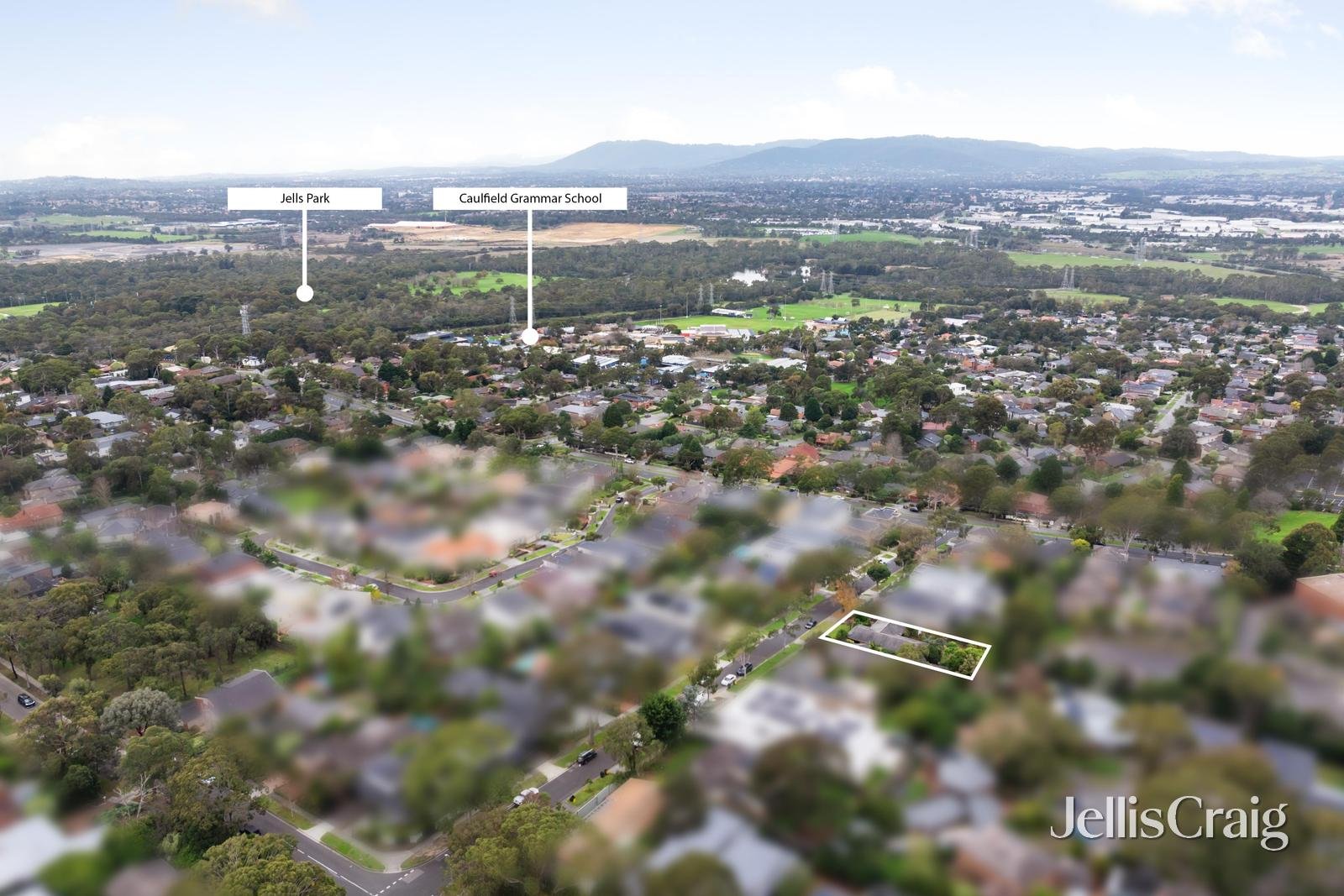 16 Ajax Drive, Wheelers&nbsp;Hill image 13