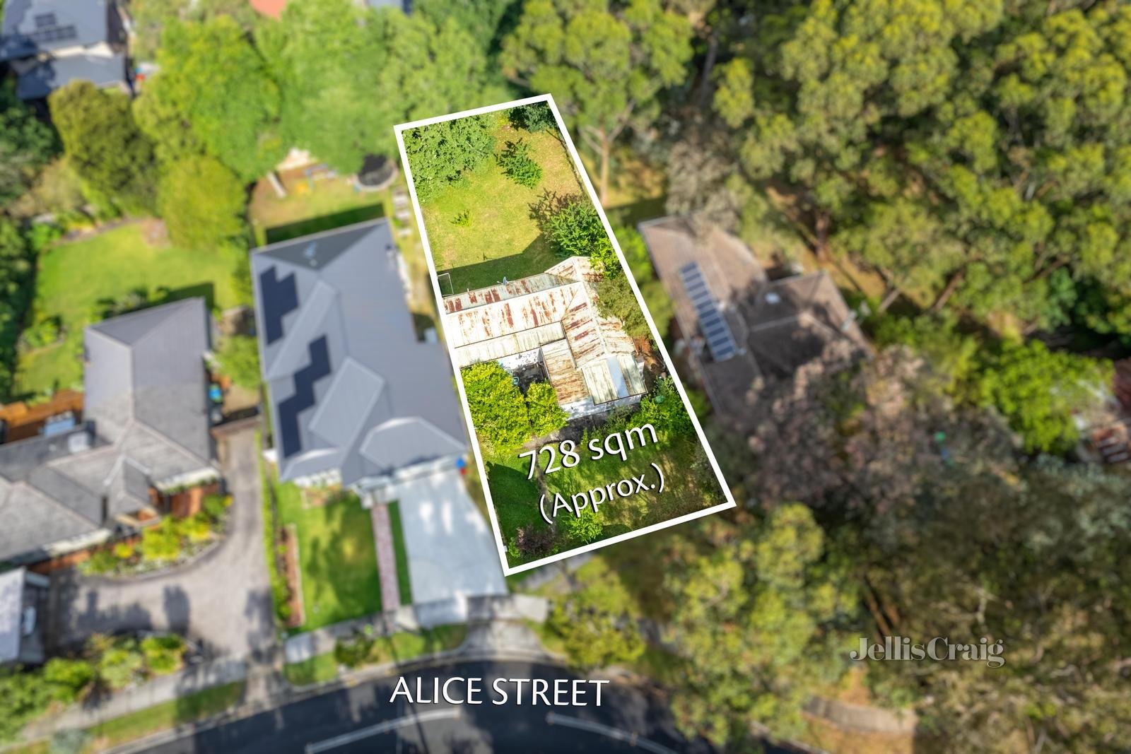 16 Alice Street, Croydon North image 2