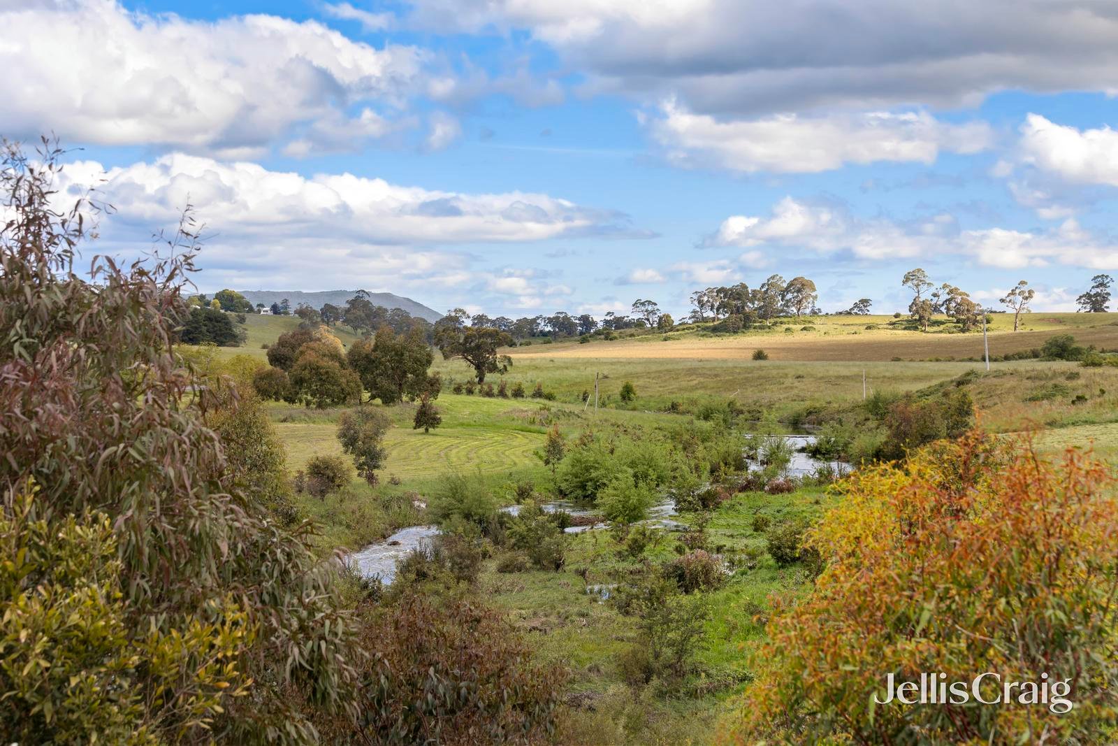 16 Armstrong Court, Kyneton image 6
