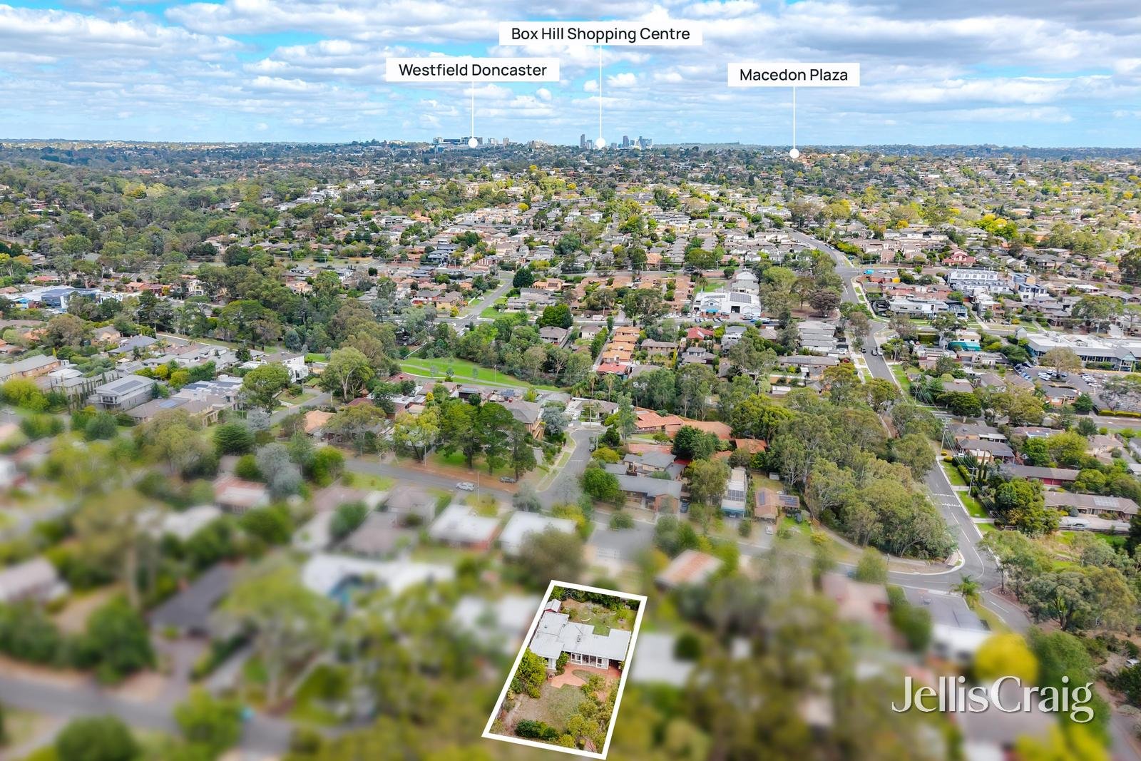 16 Atkinson Street, Templestowe image 9