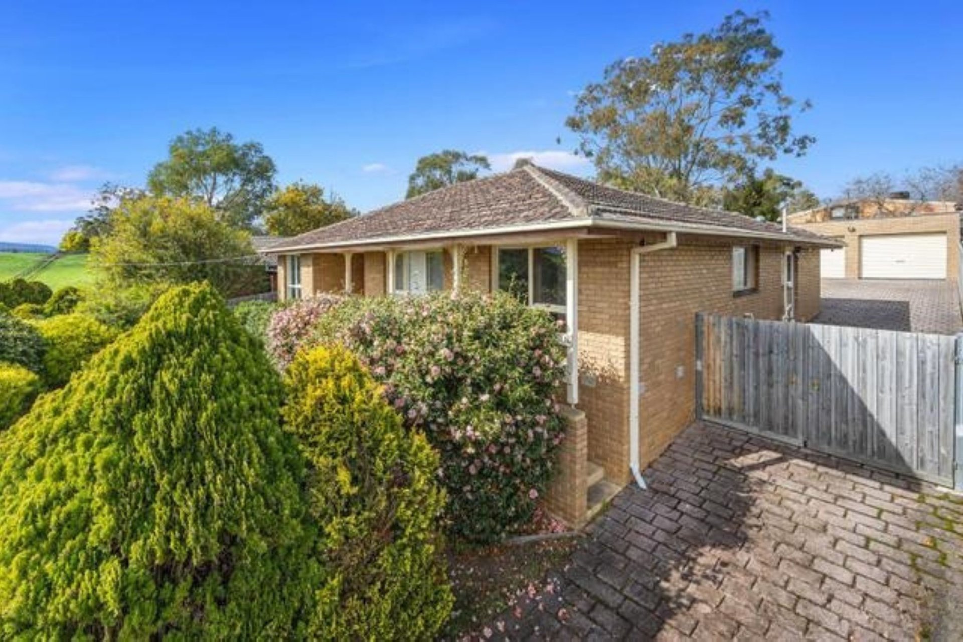 16 Bede Avenue, Coldstream image 2