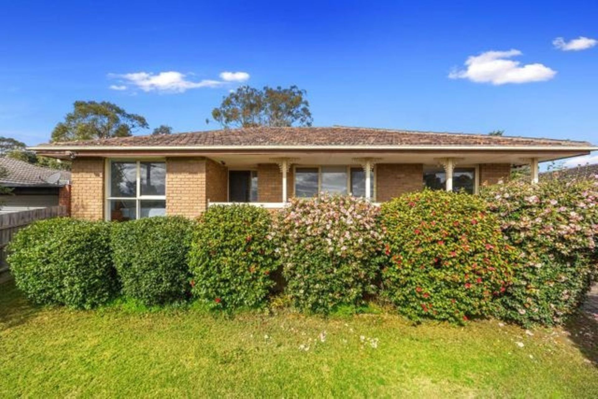 16 Bede Avenue, Coldstream image 1