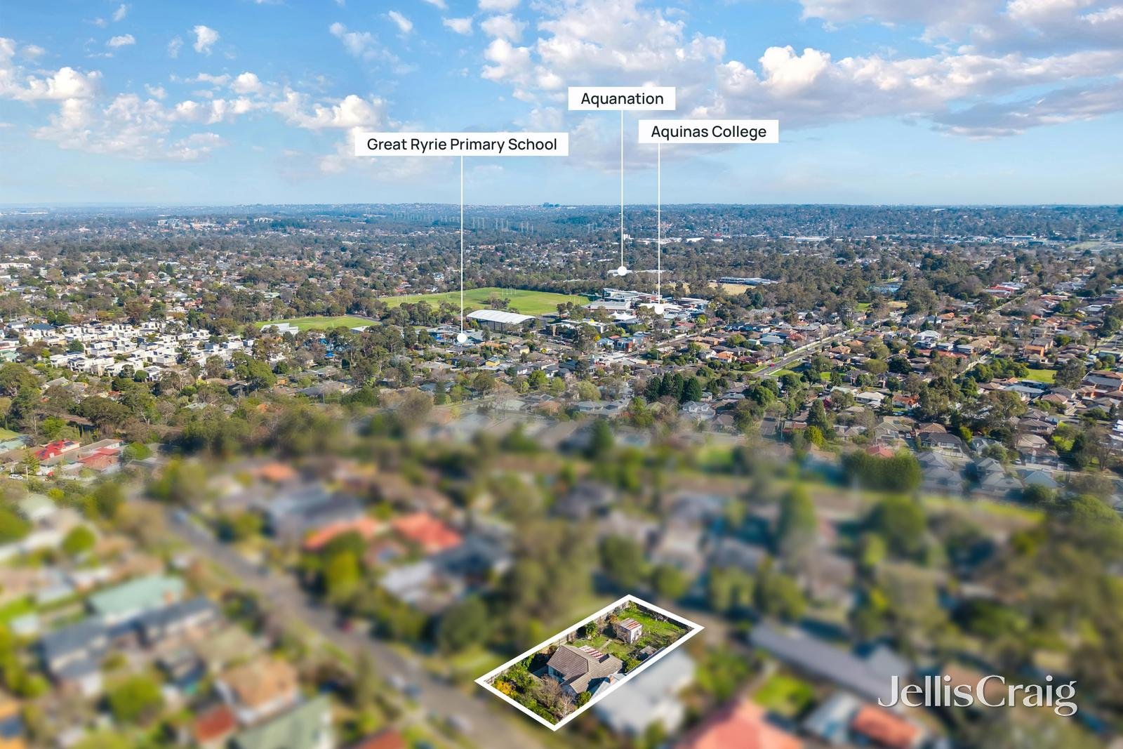16 Campbell Street, Heathmont image 12
