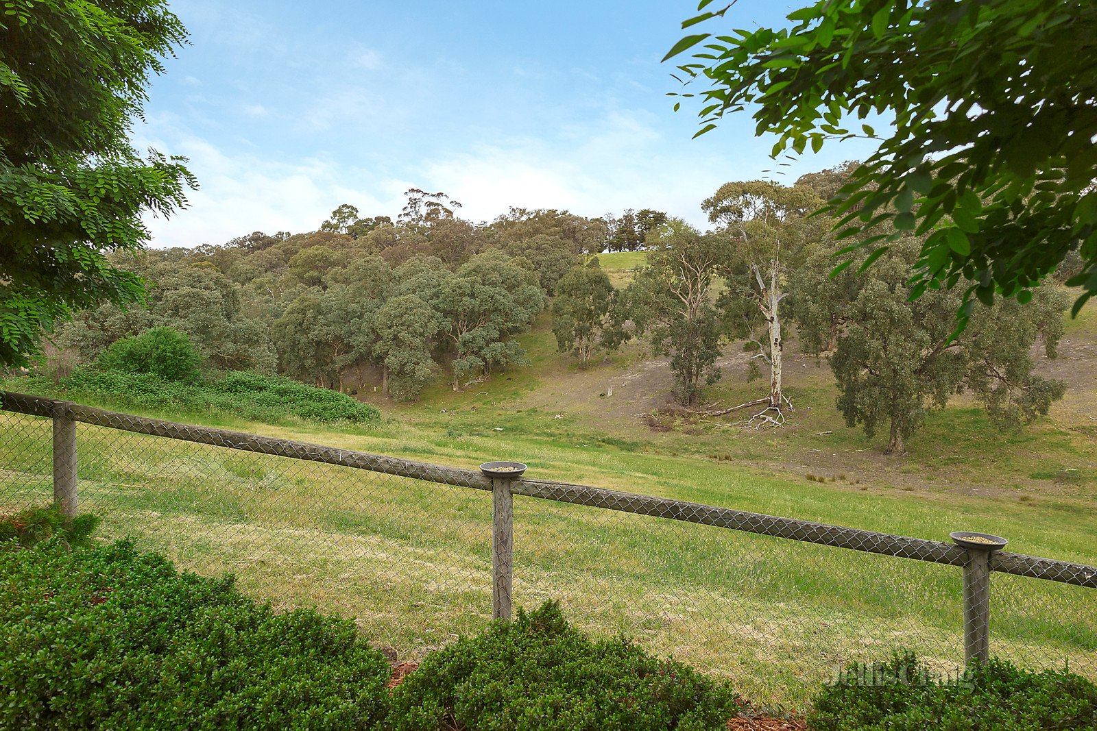 16 Cassinia Court, Diamond Creek image 10