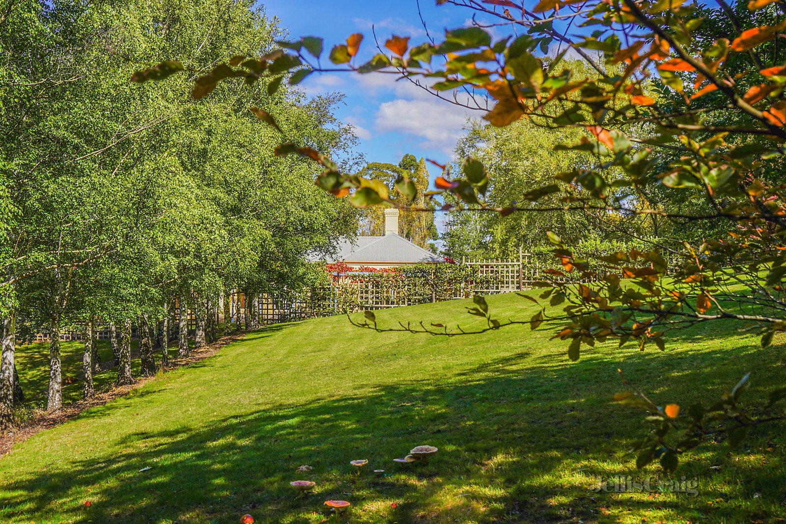 16 Cheniston Road, Mount Macedon image 17