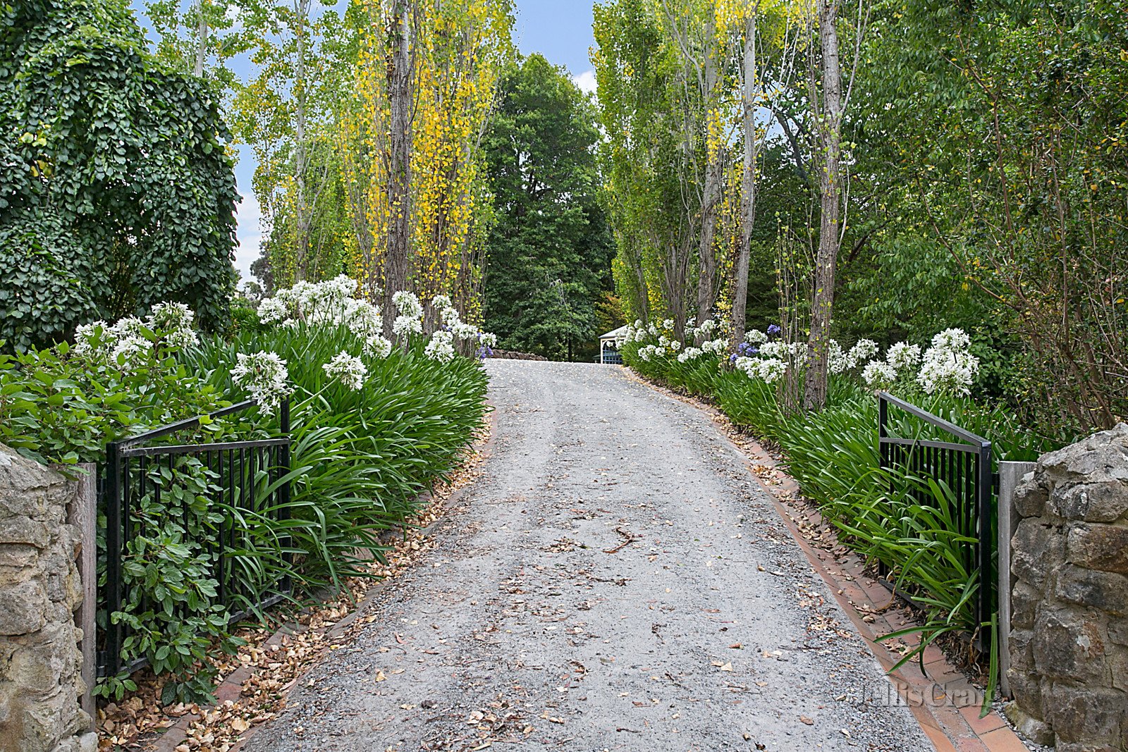 16 Cheniston Road, Mount Macedon image 11