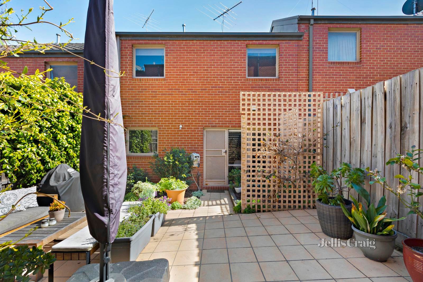 16 Coopers Lane, Kensington image 10