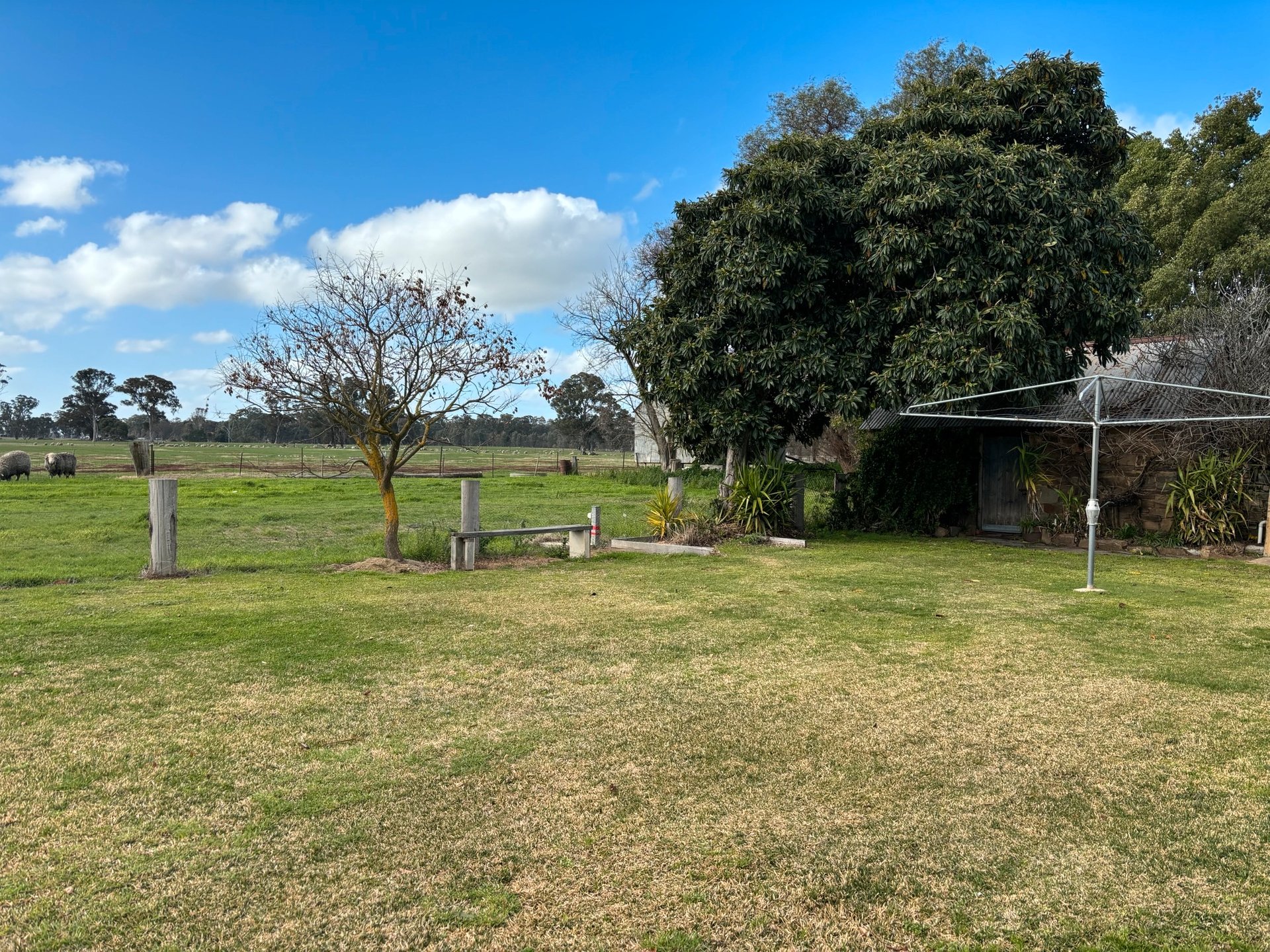 16 Davies Road, Walmer image 9