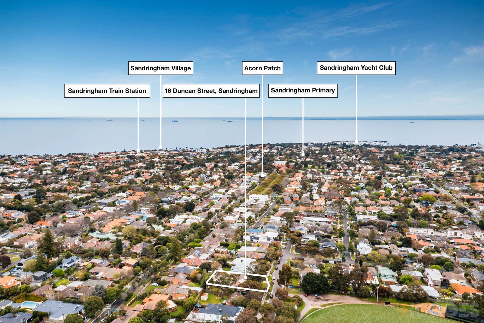 16 Duncan Street Sandringham