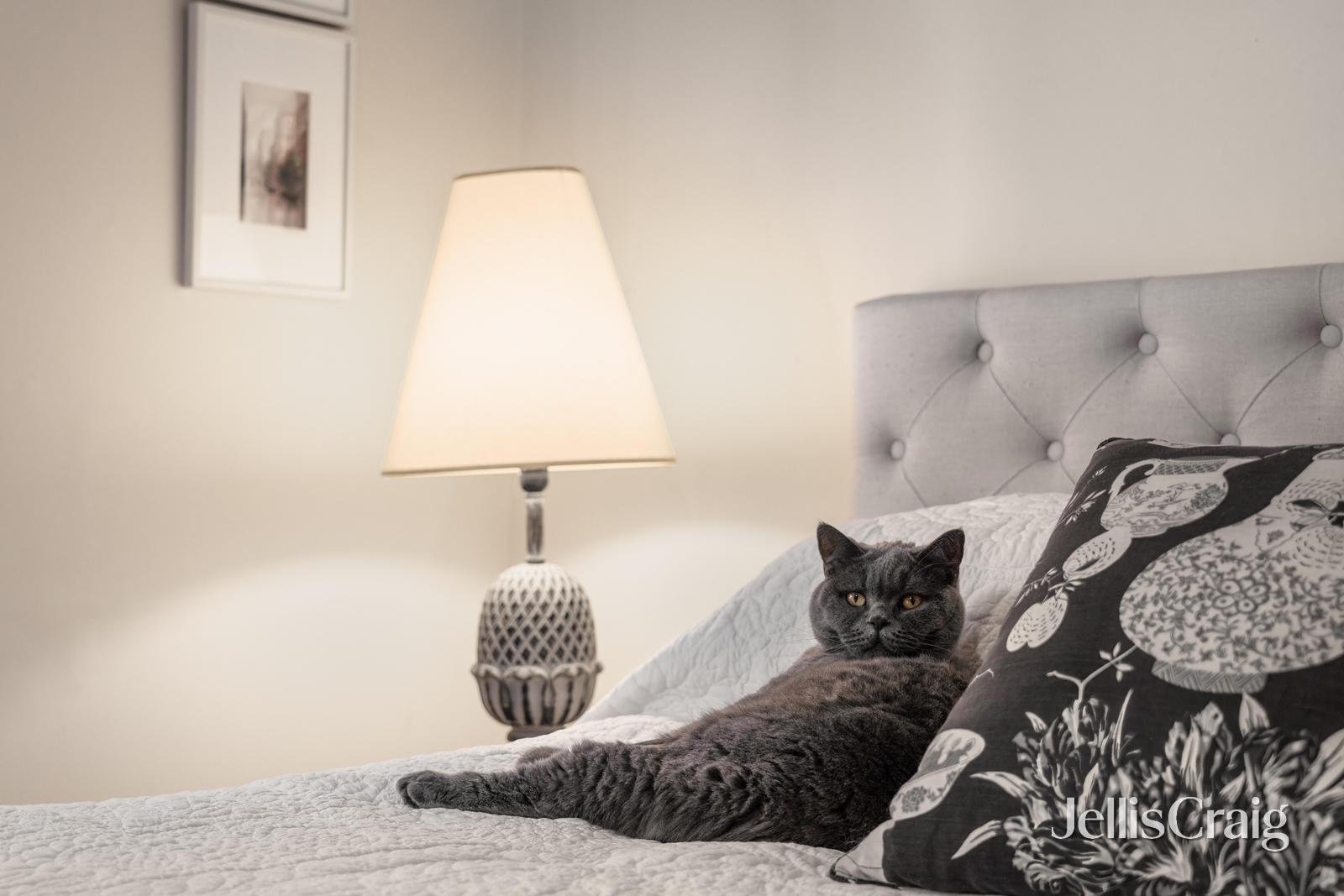 16 Errard Street North, Ballarat&nbsp;Central image 17