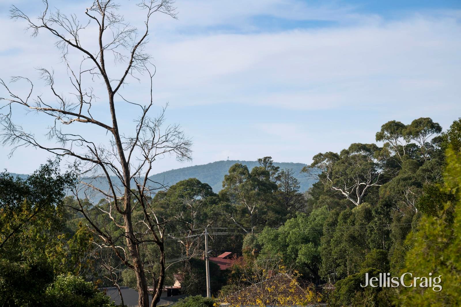 16 George Street, Wandin&nbsp;North image 19