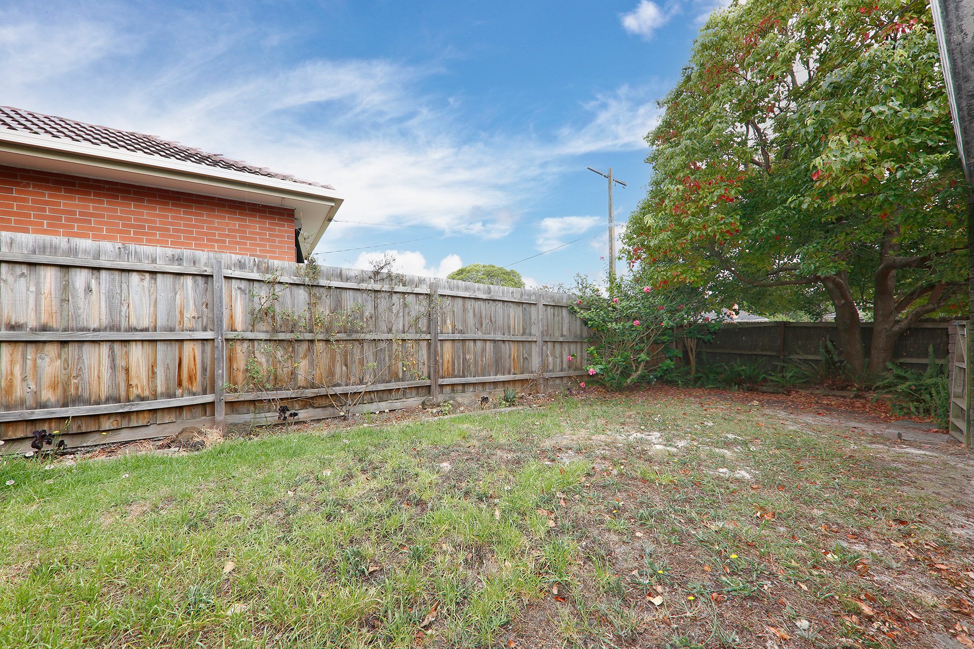 16 Gillies Street, Mitcham image 6