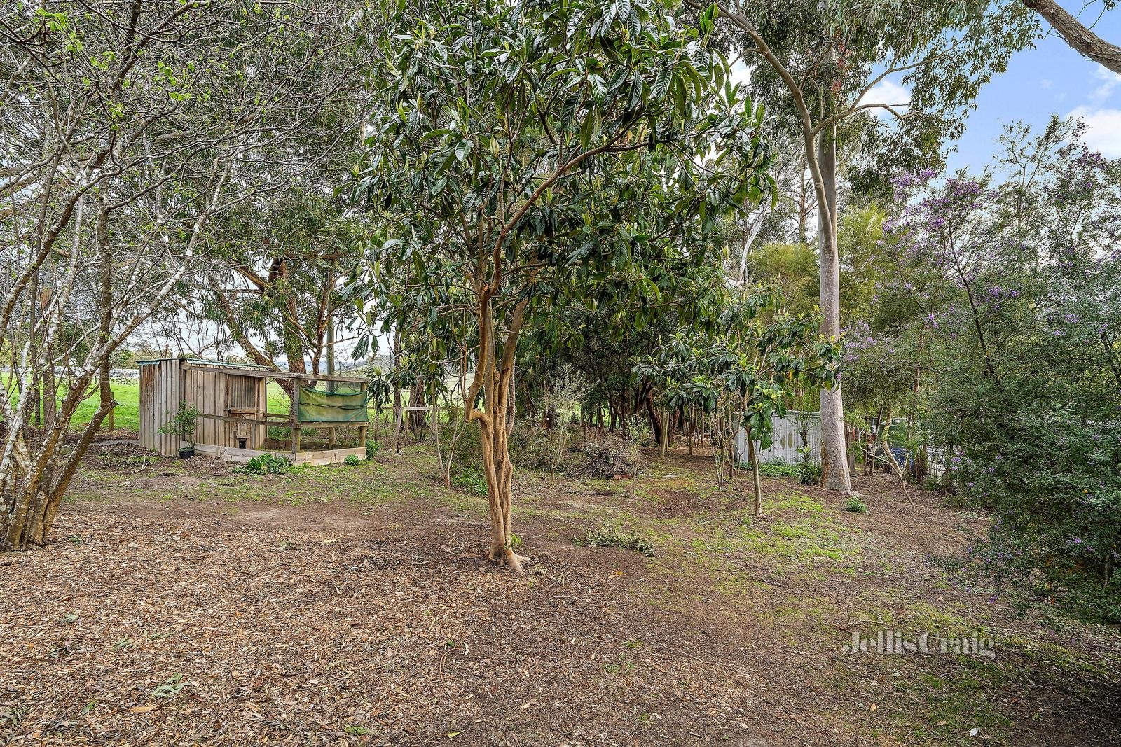 16 Henry Street, Yarra Junction image 9