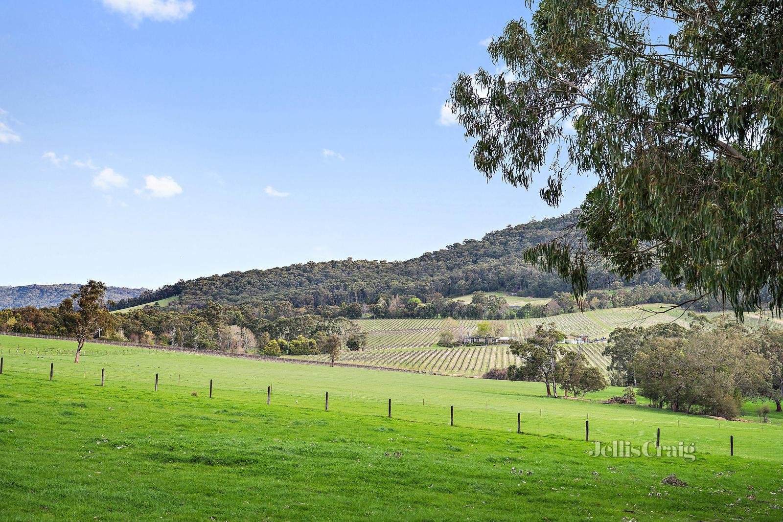 16 Henry Street, Yarra Junction image 13