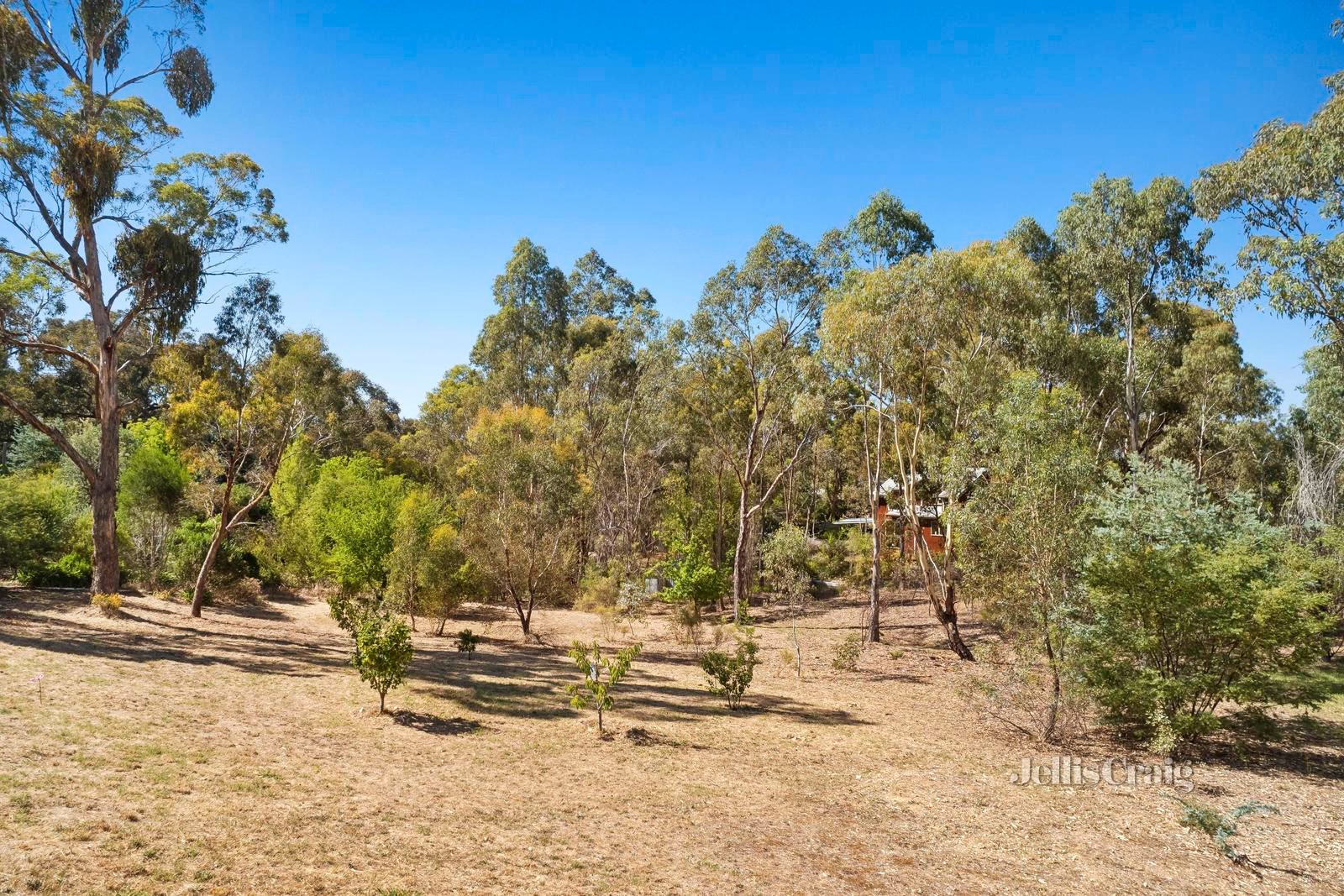 16 Honeycomb Road, Campbells Creek image 8