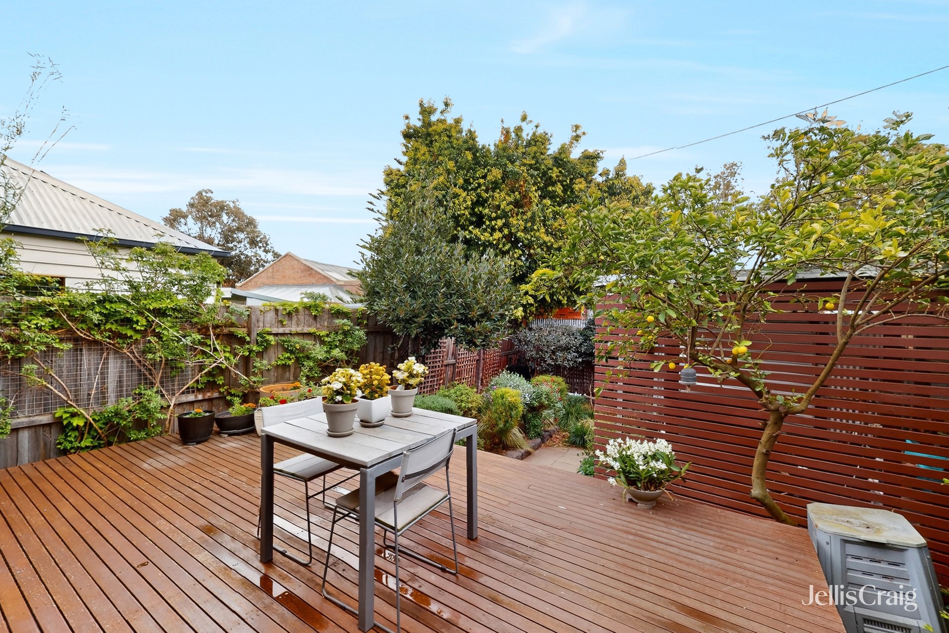 16 Hopetoun Street, Kensington image 14
