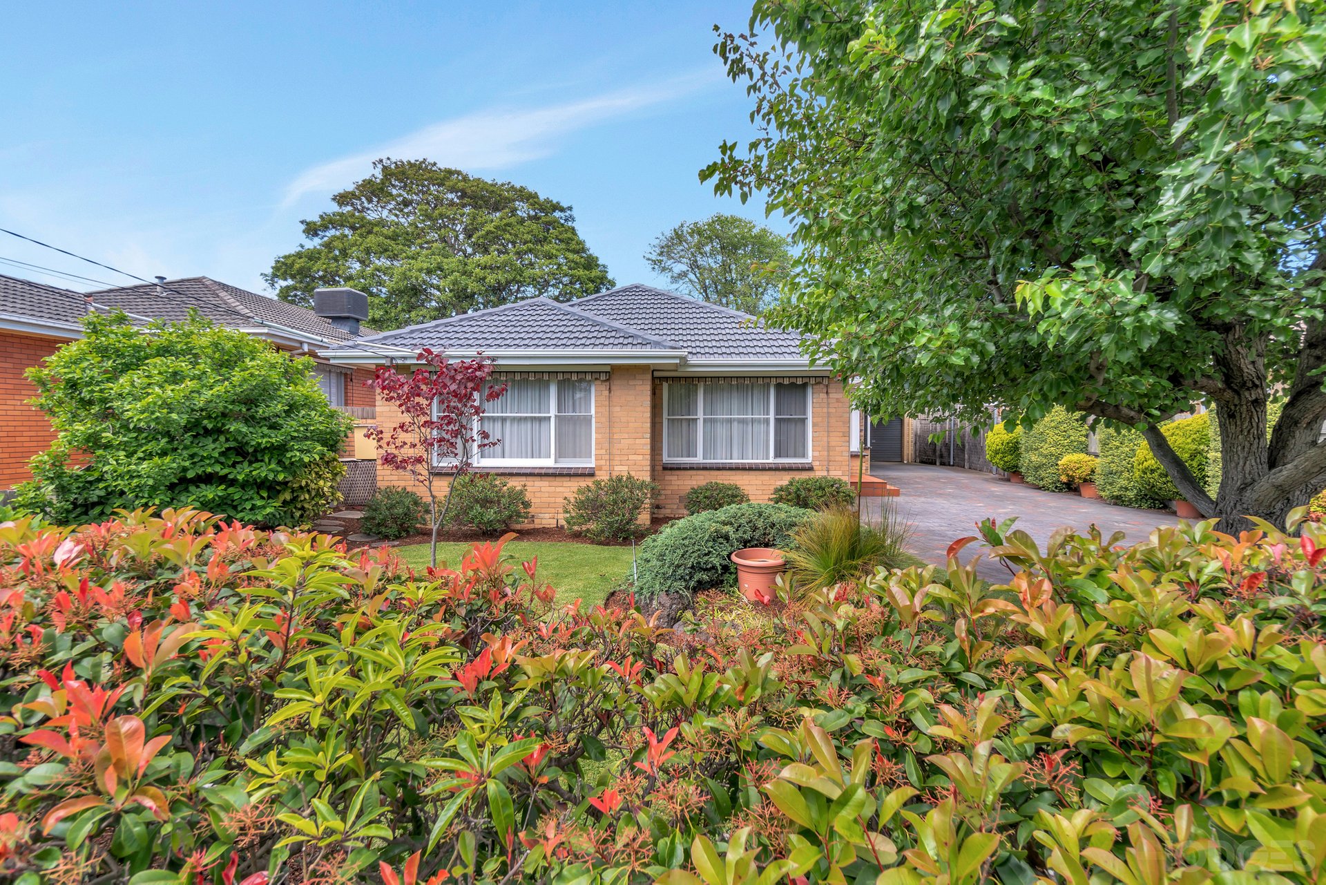 16 Ivy Street Parkdale