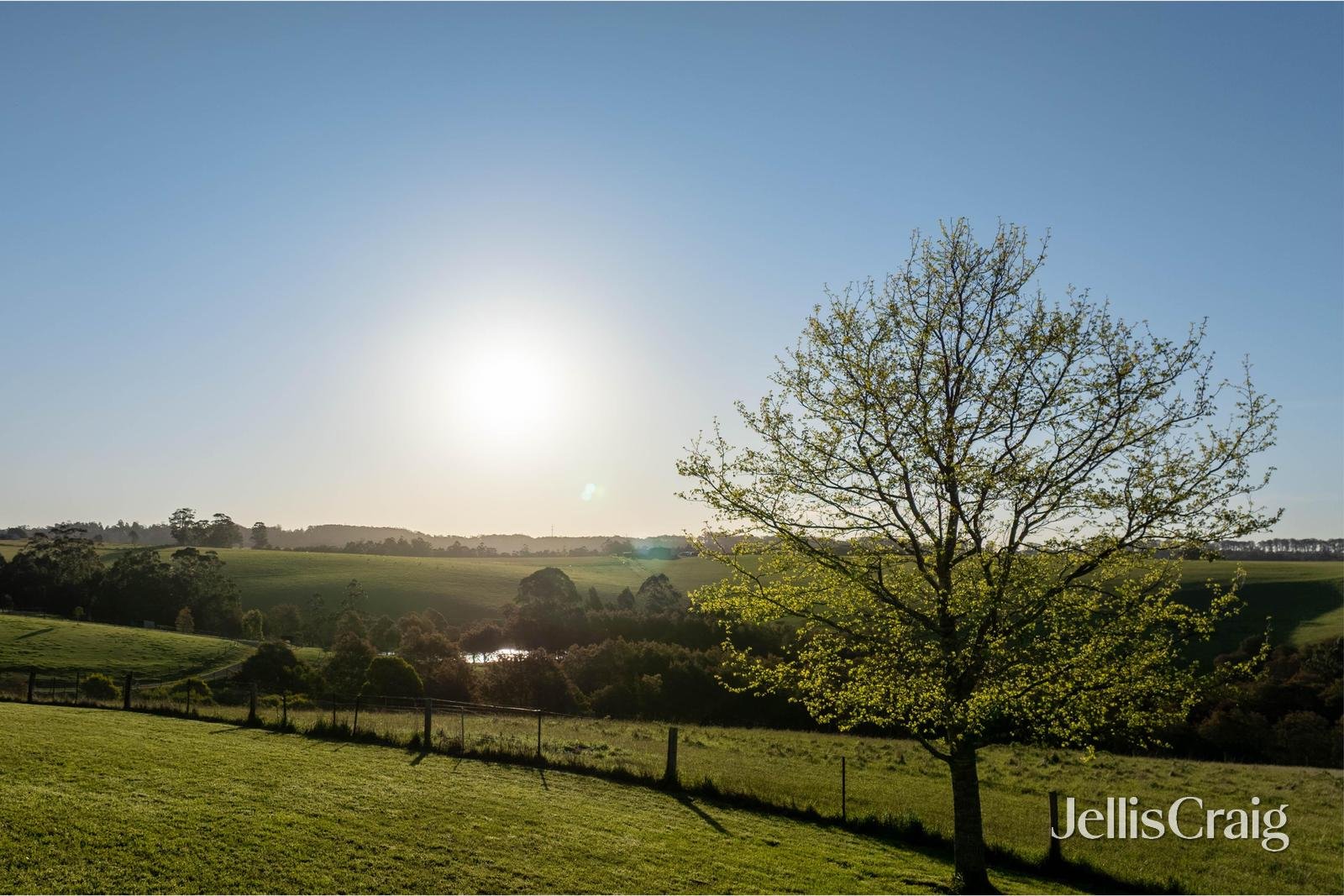 16 James Street, Kinglake image 23