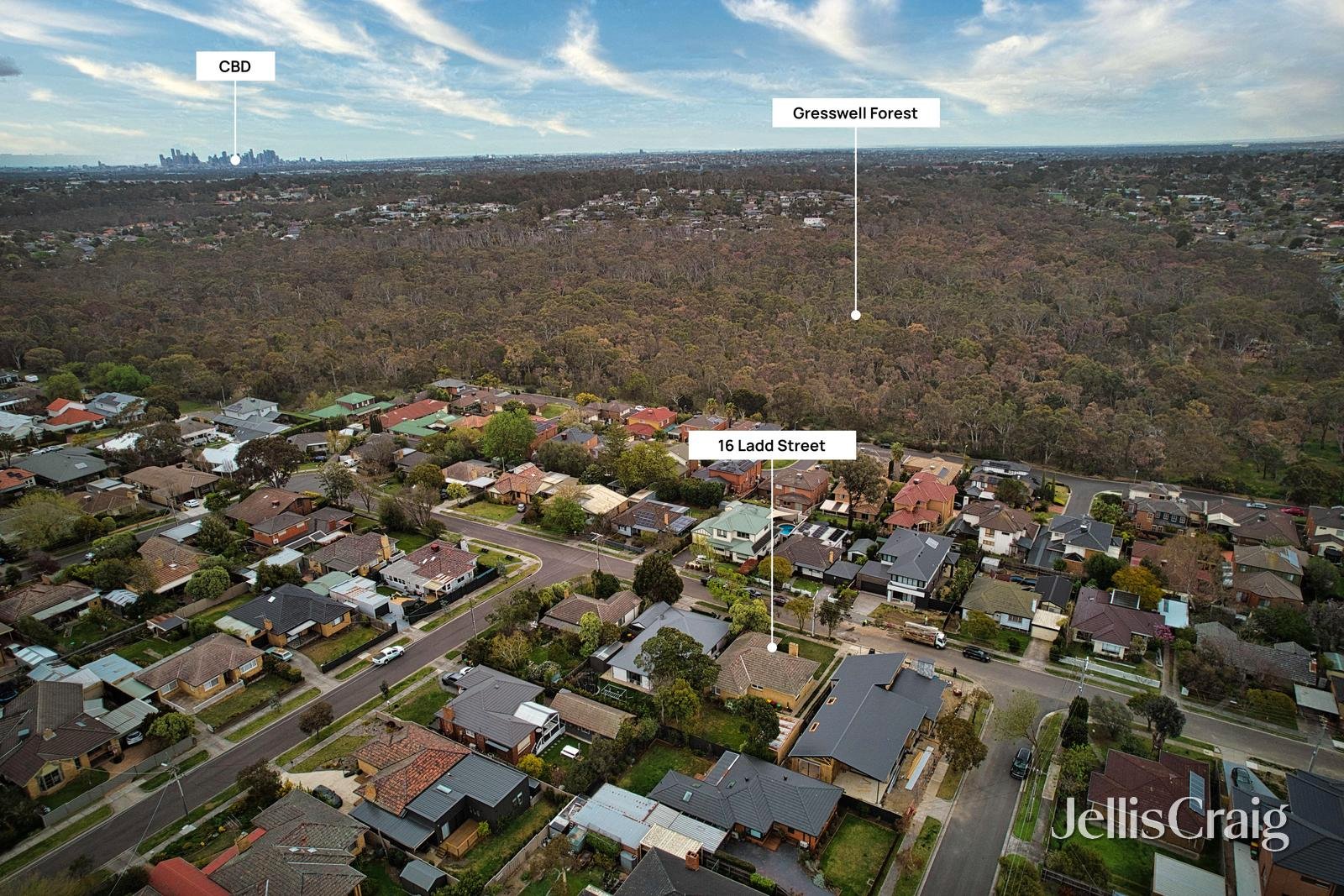 16 Ladd Street, Watsonia image 13