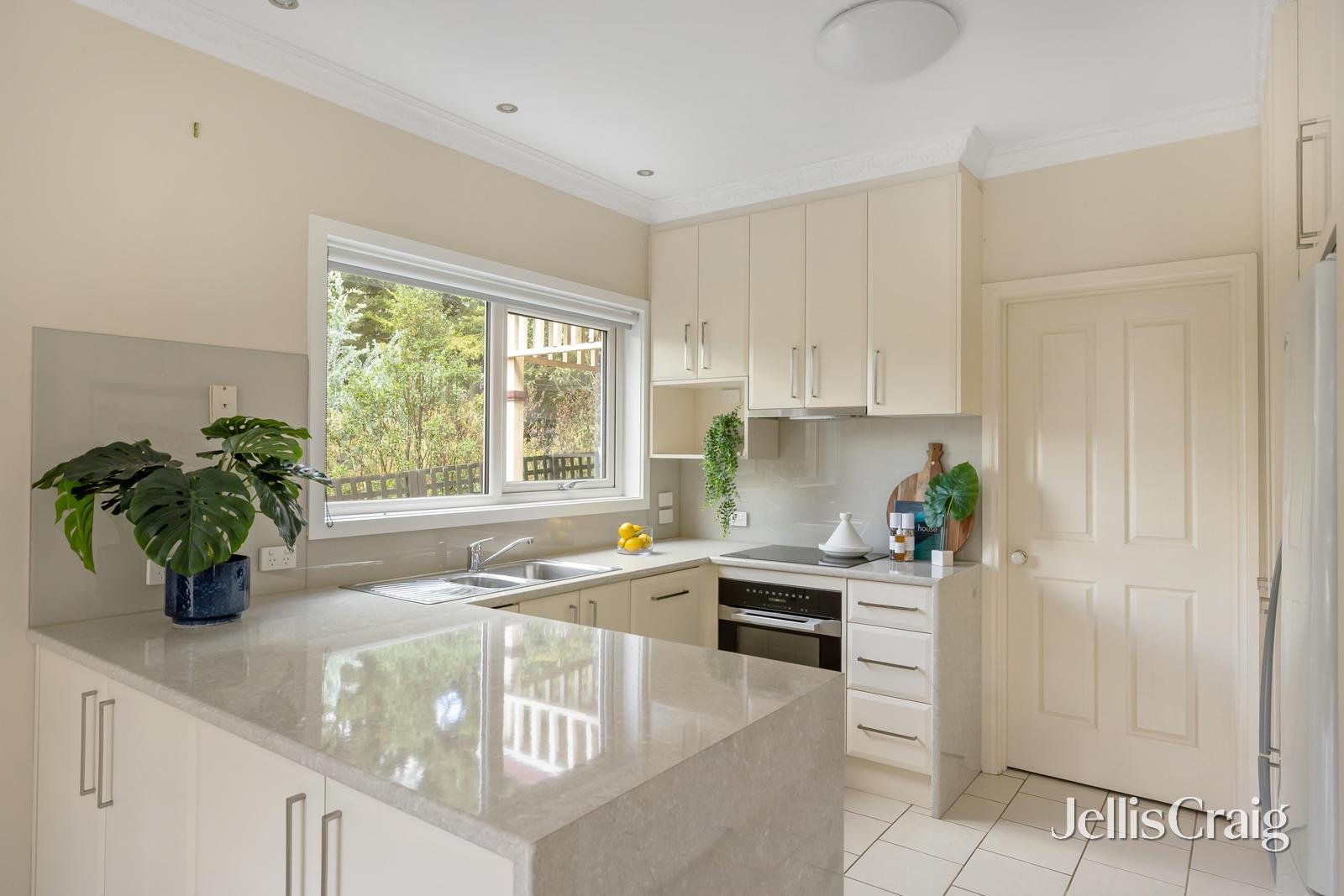 16 Malvern Road, Mont Albert North image 4