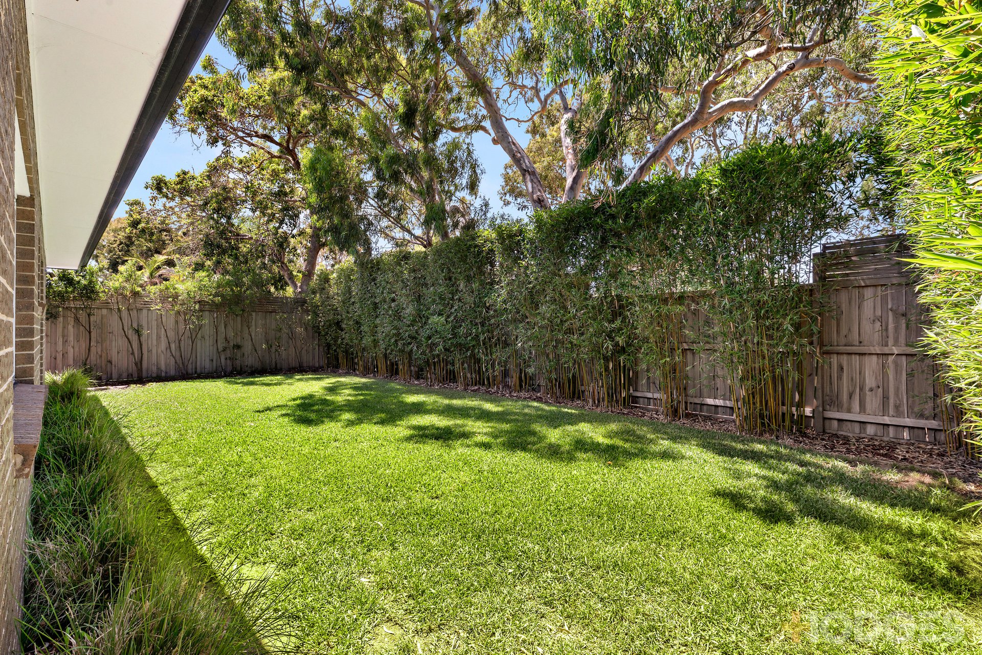 16 Middleton Street Highett