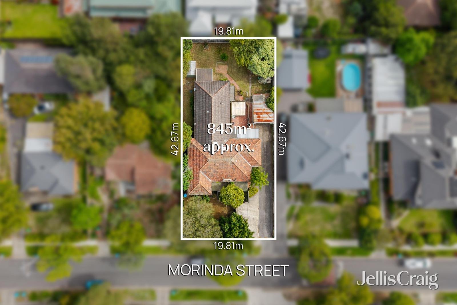 16 Morinda Street, Ringwood&nbsp;East image 1