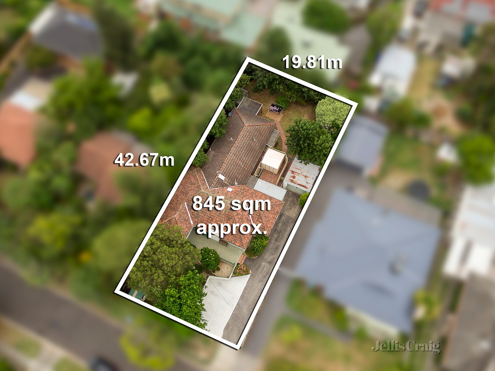 16 Morinda Street, Ringwood East image 8