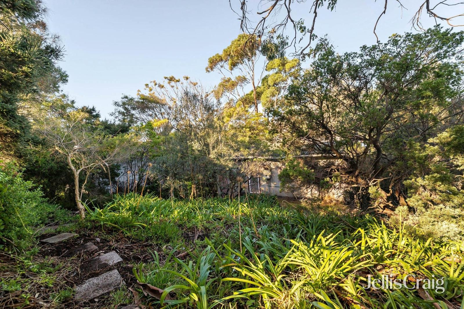 16 Morobe Street, Sorrento image 12