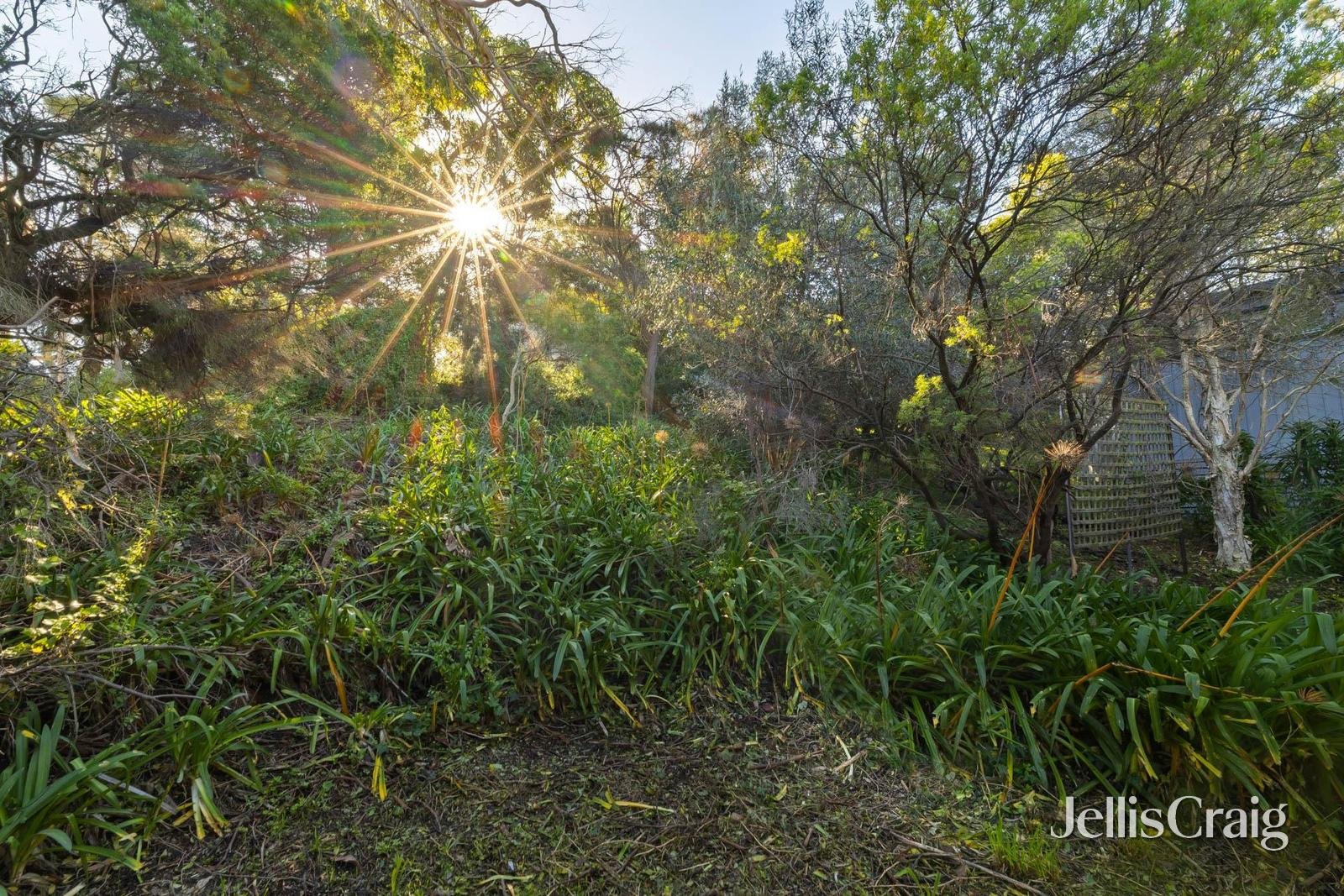 16 Morobe Street, Sorrento image 13