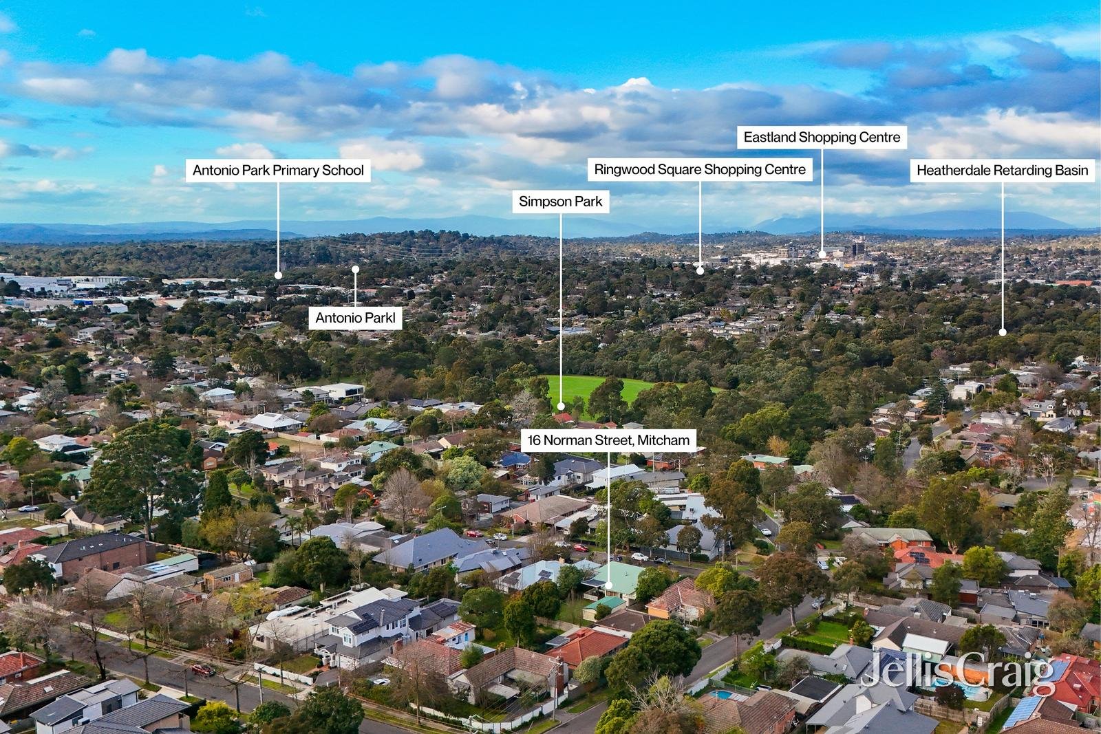 16 Norman Street, Mitcham image 15