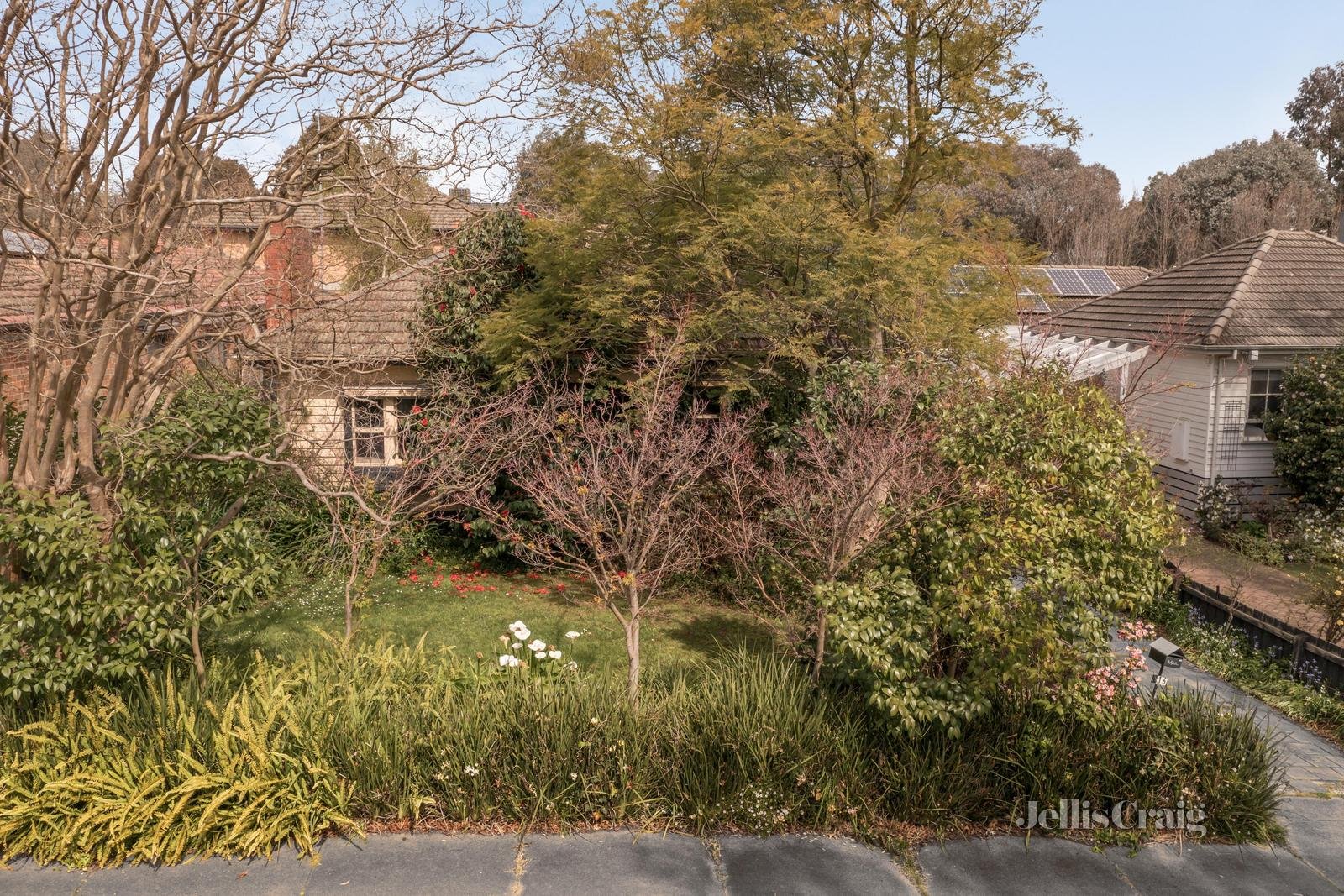 16 Palmer Avenue, Balwyn image 3