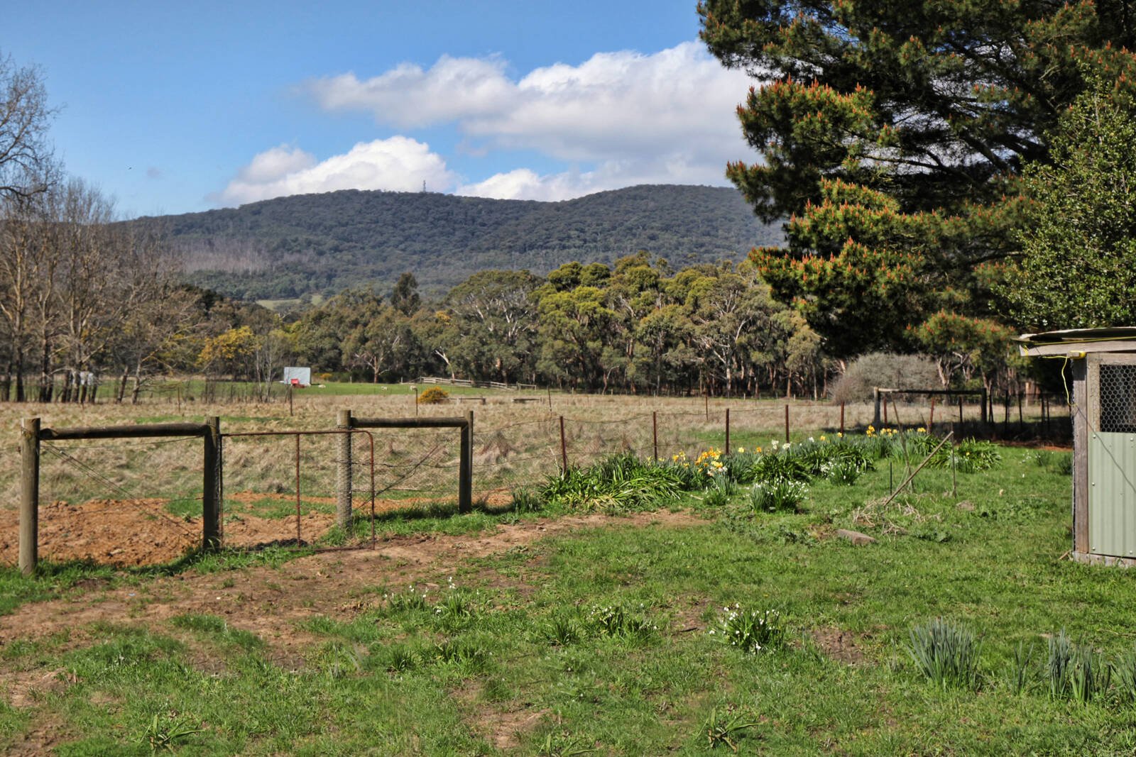 Property Gallery Thumbnail 5