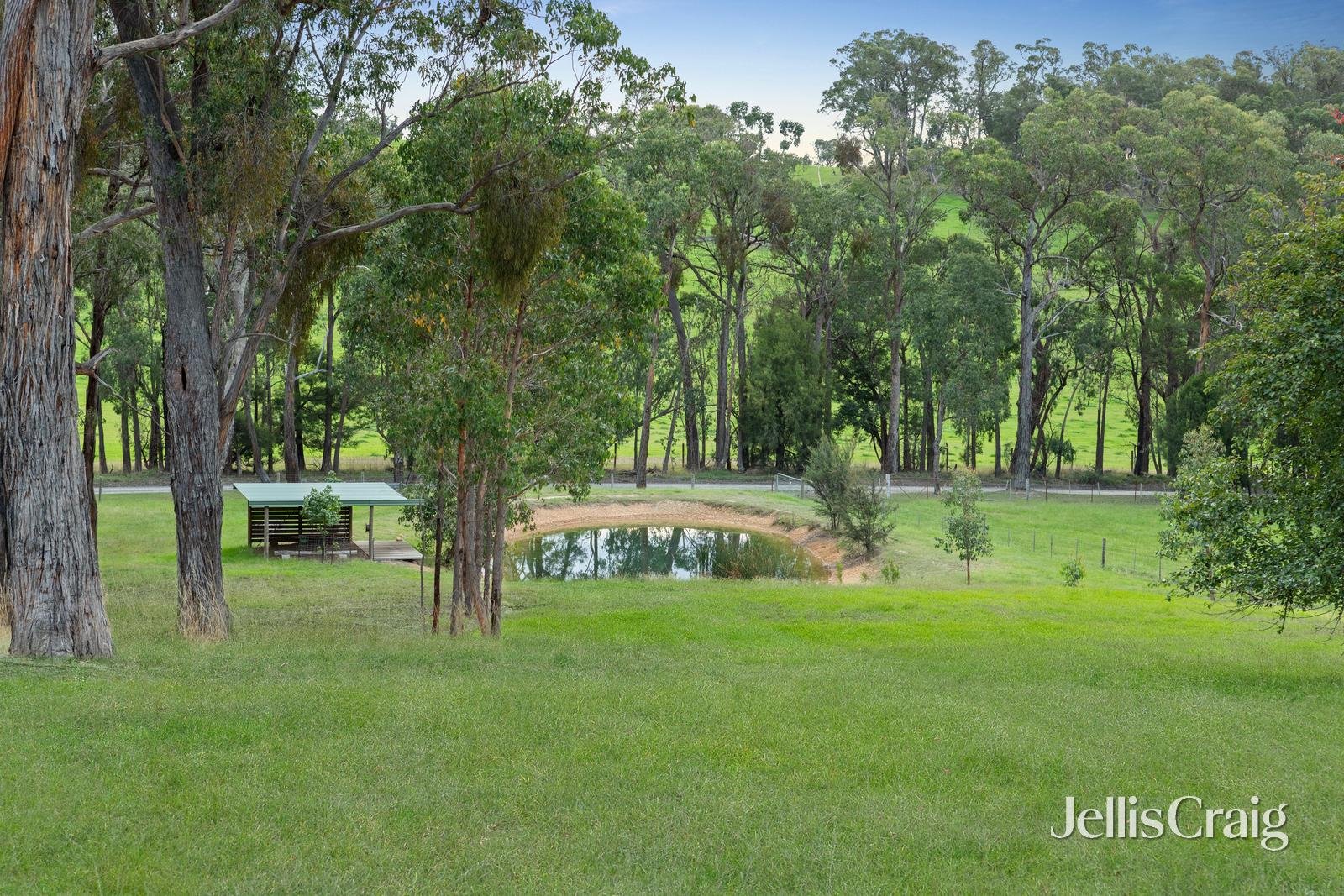 16 Ross Road, Gruyere image 16