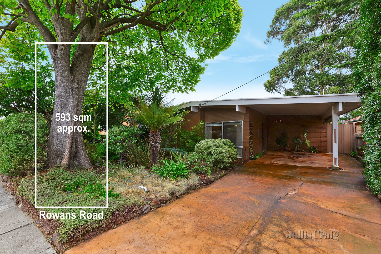 16 Rowans Road, Highett image 1