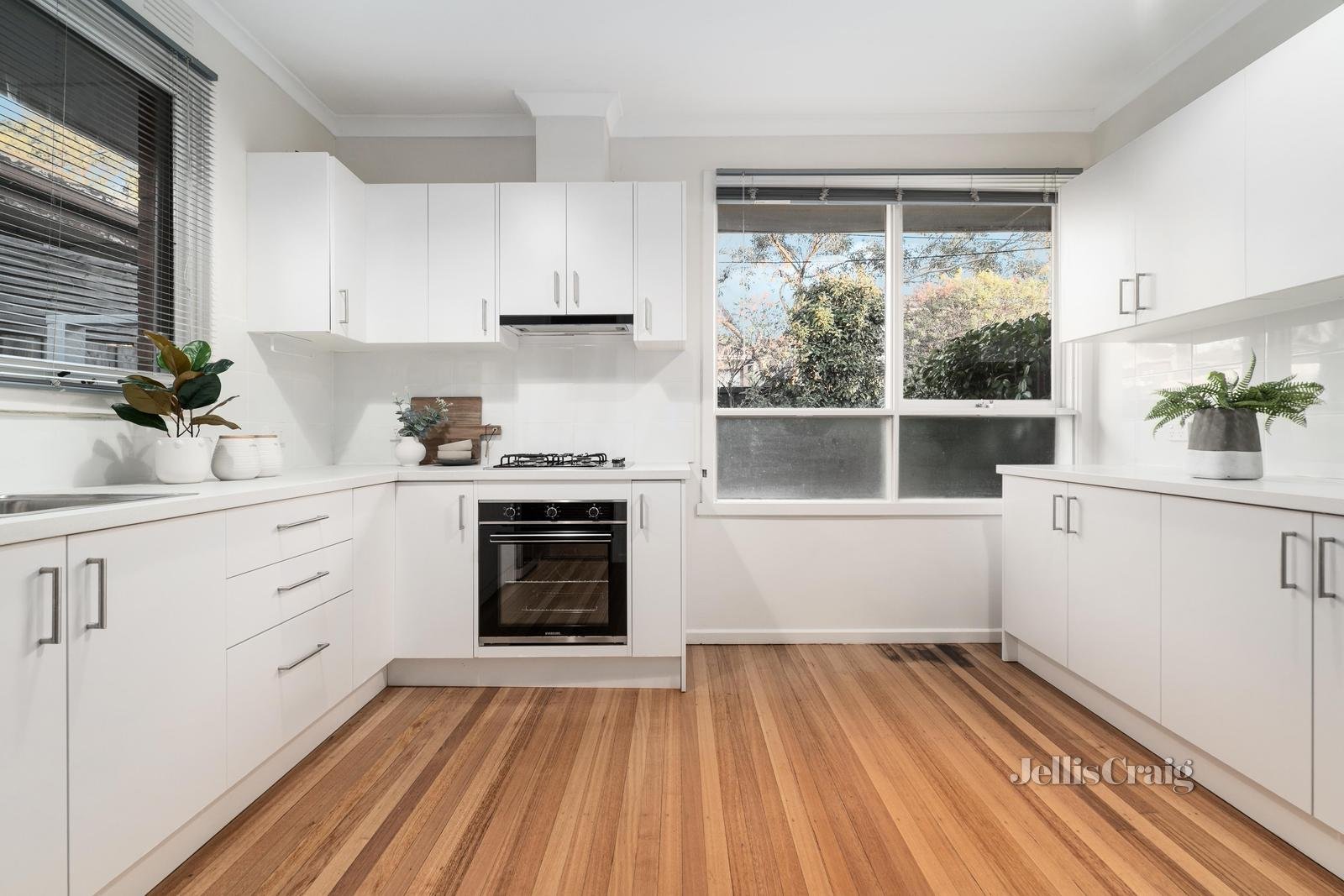16 Shanklin Street, Box Hill North image 4