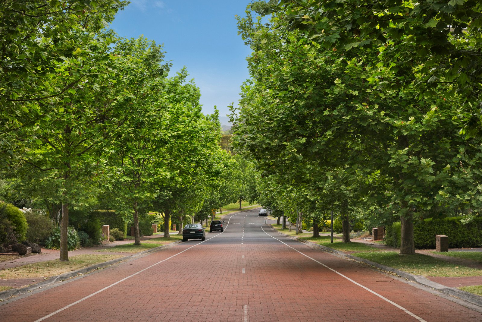 16 Valley Park Drive, Mooroolbark image 3