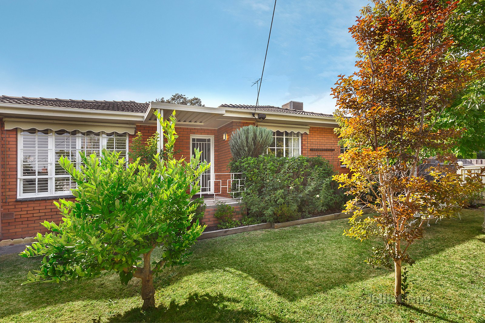 1/6 Westminster Street, Balwyn image 1