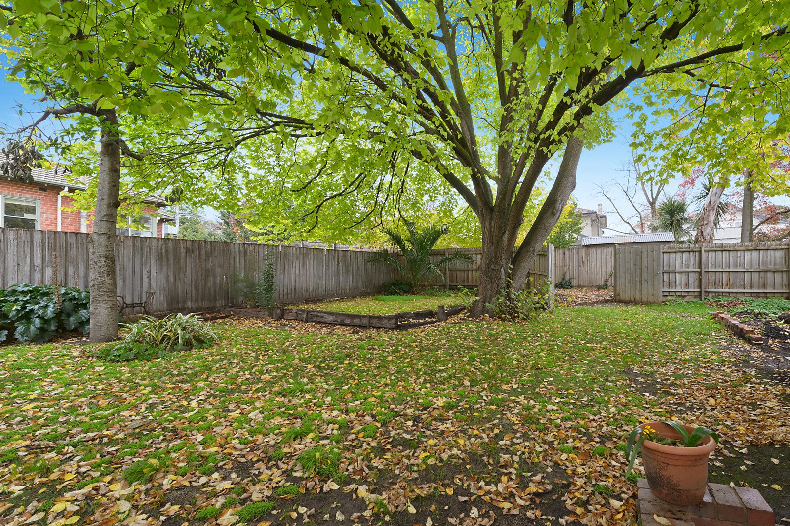 16 Wills Street, Balwyn image 5