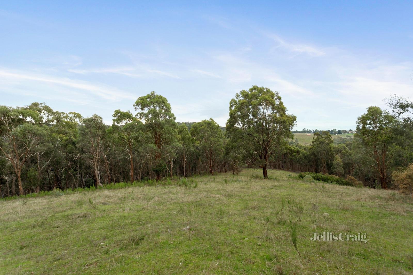 160 Barreenong Road, Cottles Bridge image 28