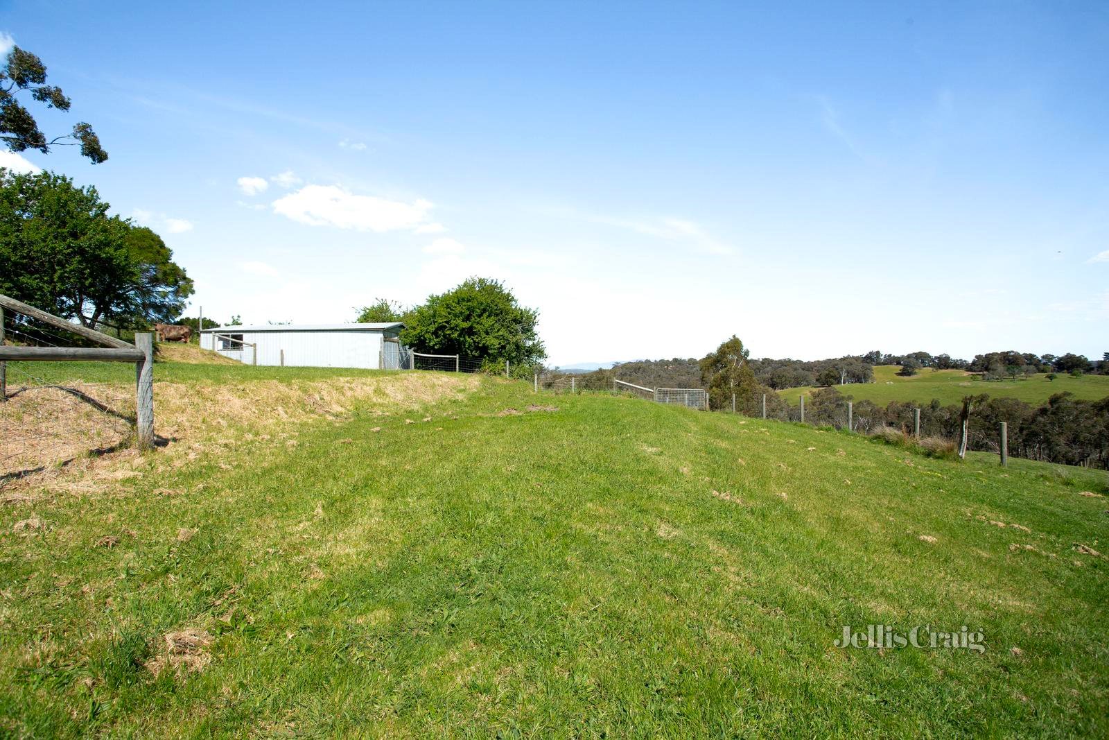 160 Rodger Road, Panton Hill image 5