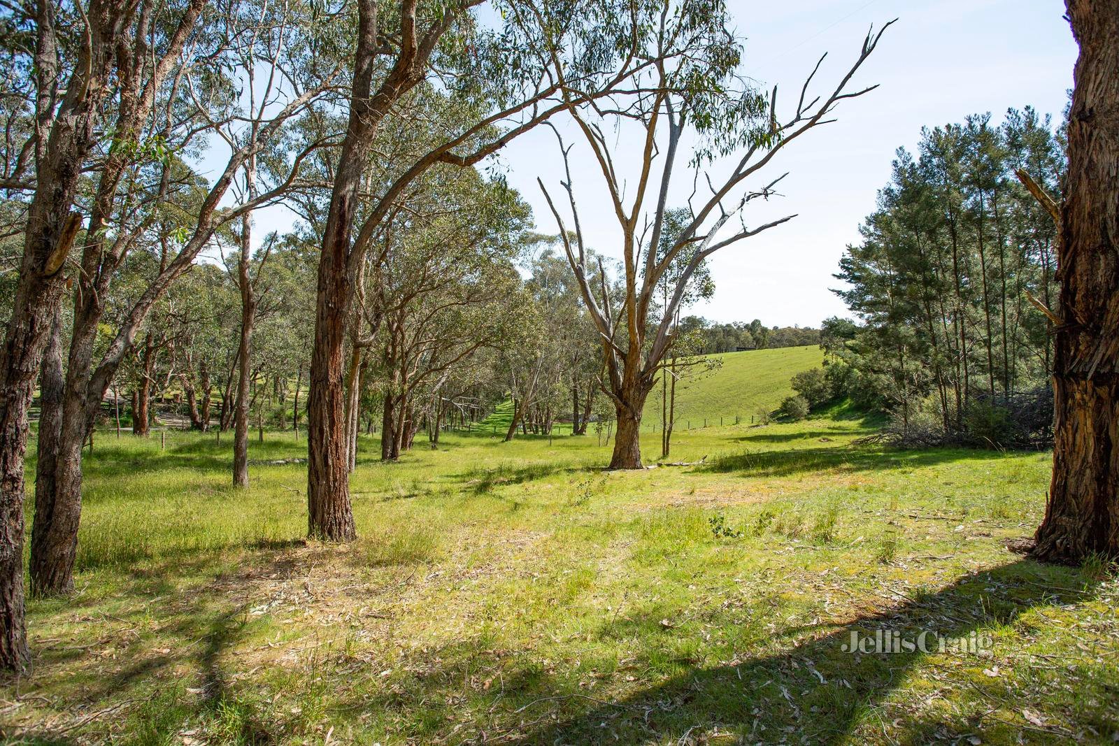 160 Rodger Road, Panton Hill image 18