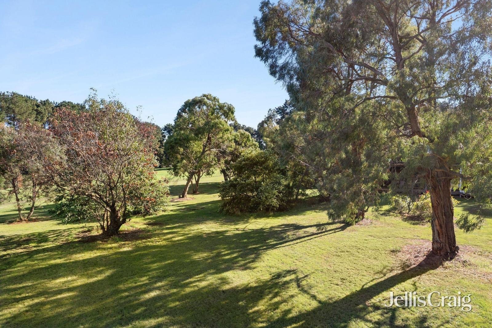 161 Pipers Creek Road, Kyneton image 12