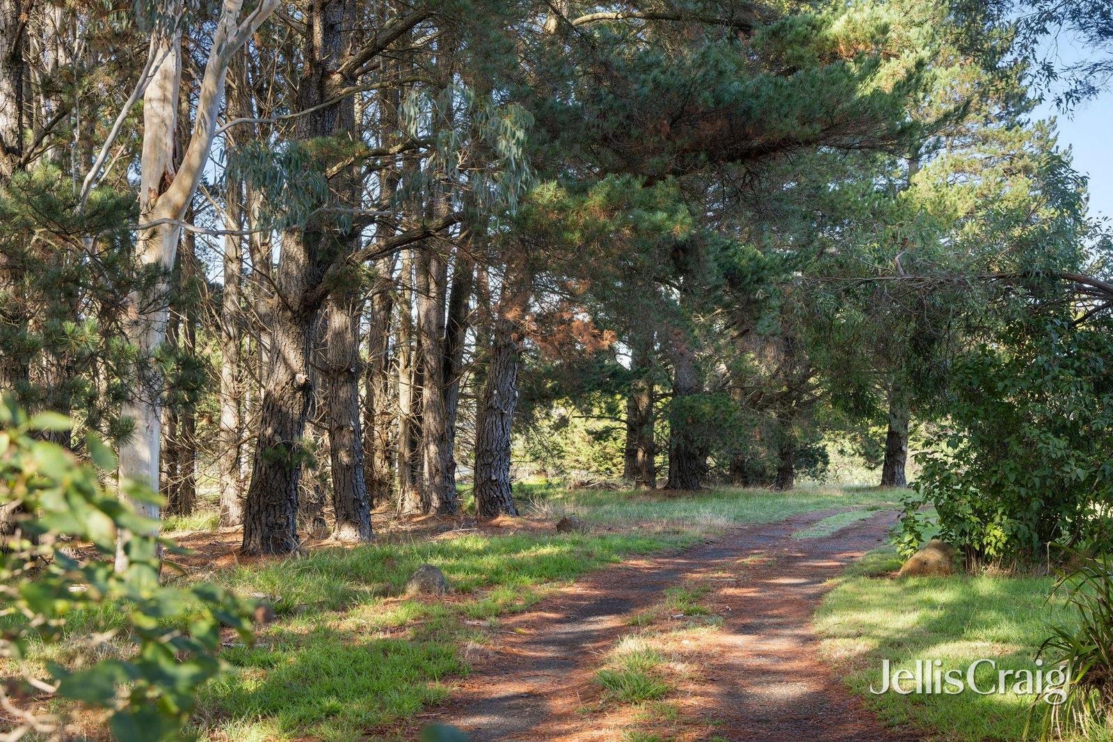 161 Pipers Creek Road, Kyneton image 13