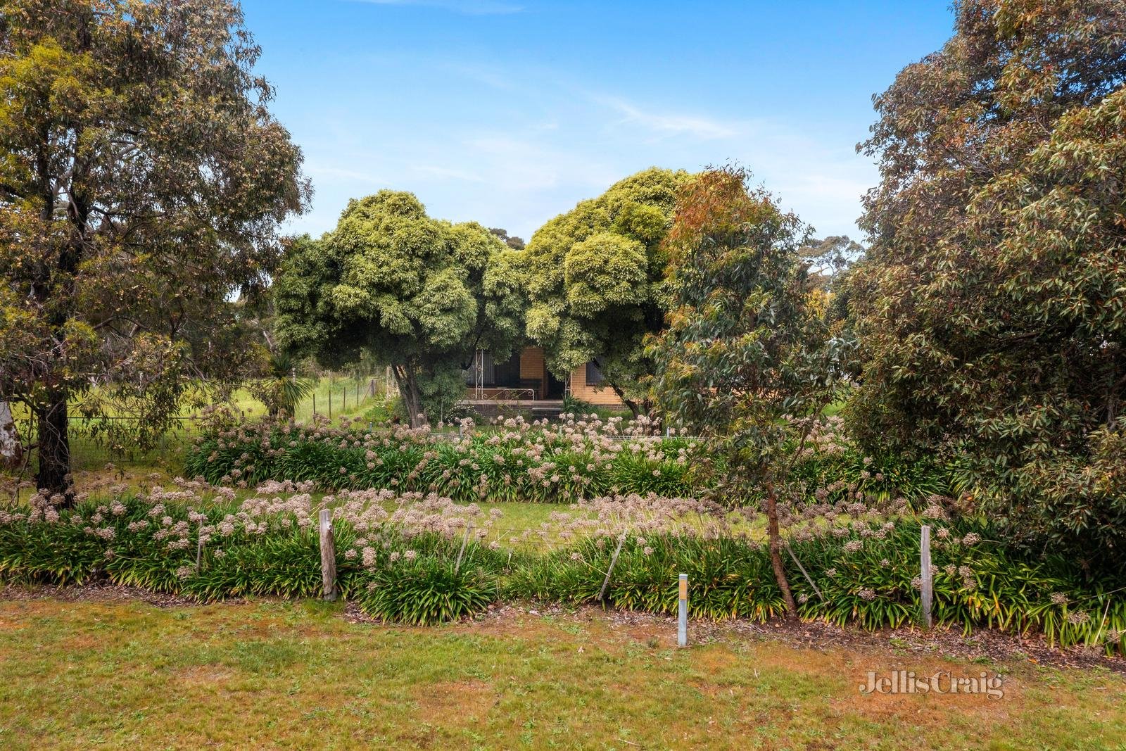 161 Sago Hill Road, Bunkers Hill image 22