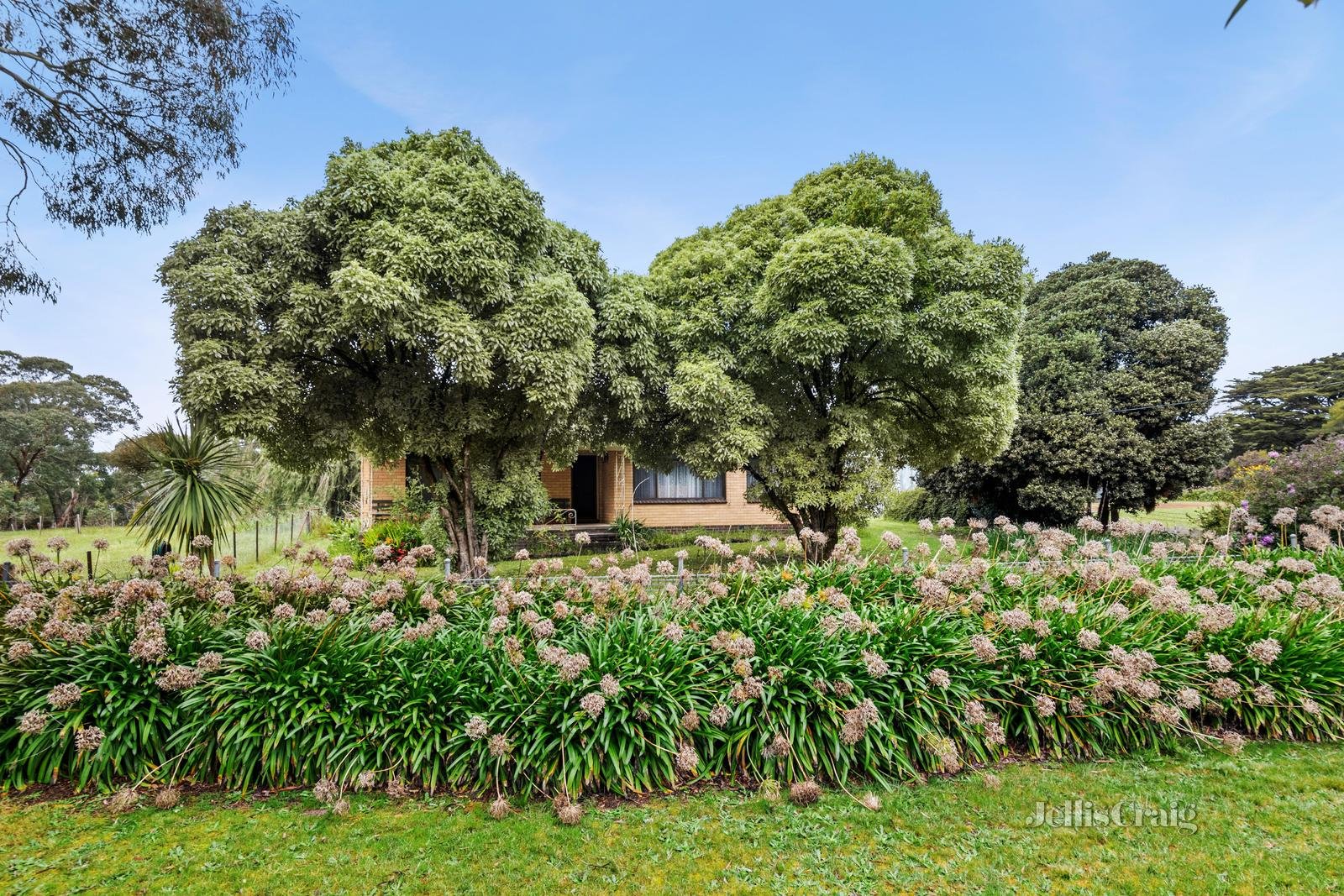 161 Sago Hill Road, Bunkers Hill image 24