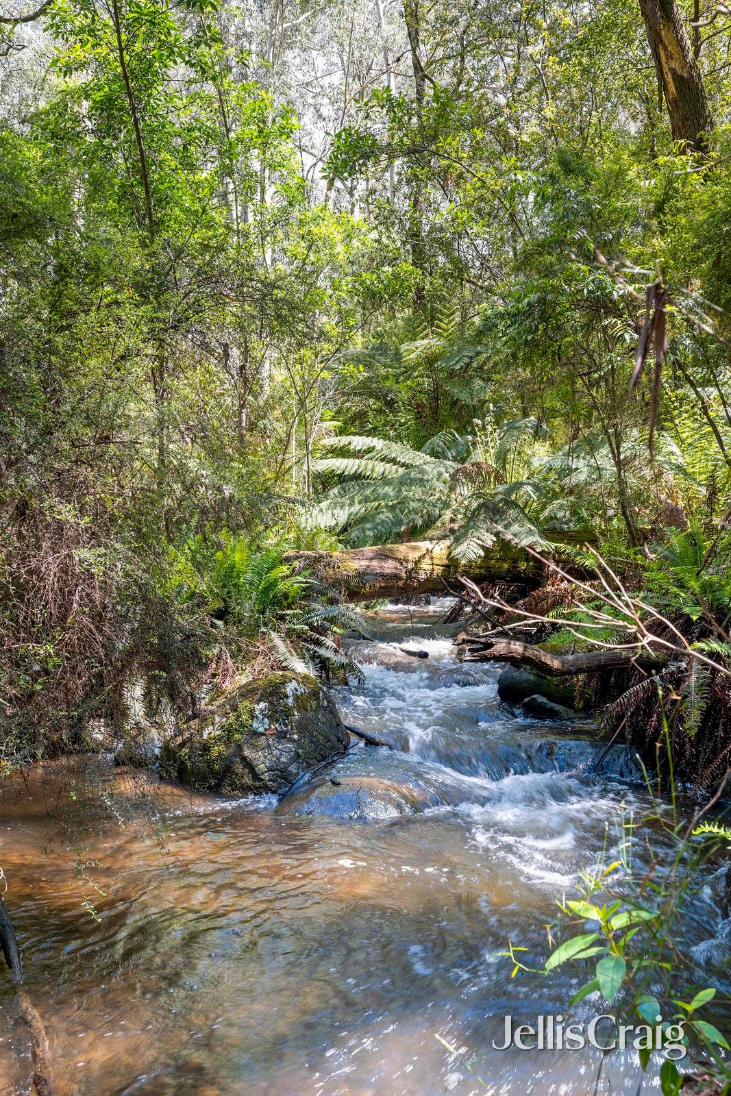 1620 Don Road, Don Valley image 20