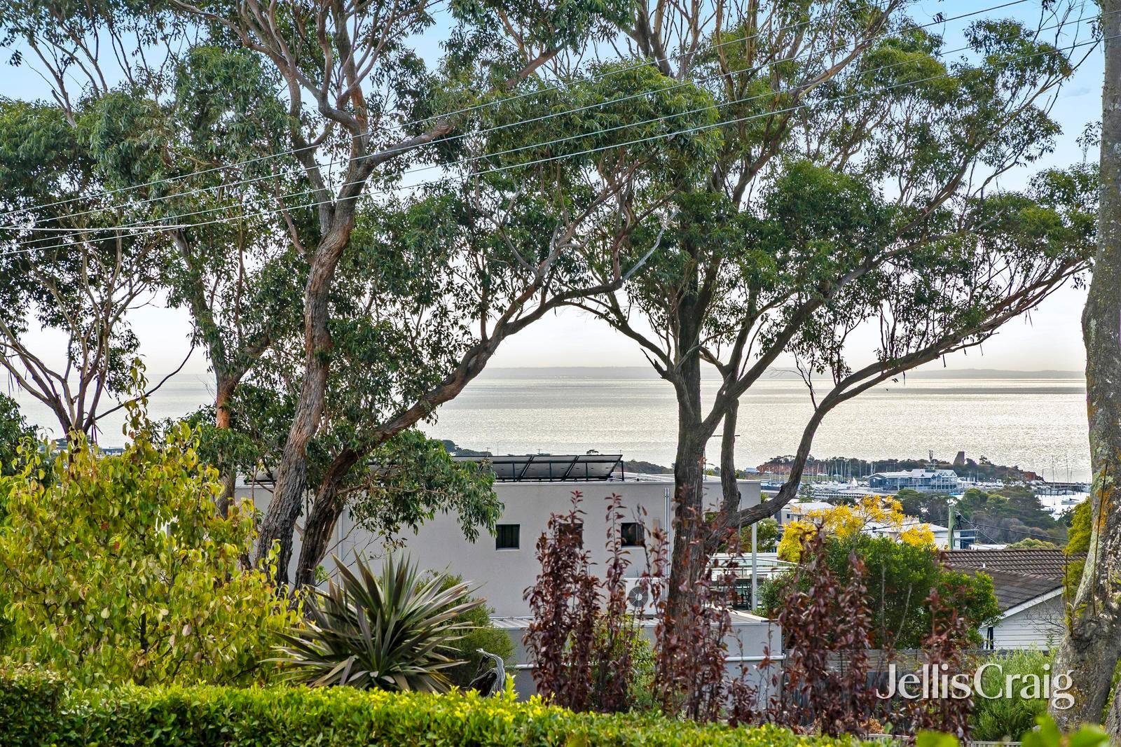 163 Barkly Street, Mornington image 16